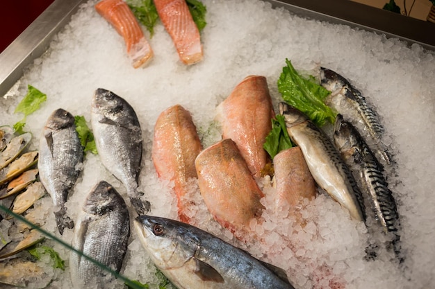 Pesce fresco crudo che si raffredda su letto di ghiaccio freddo nella bancarella del mercato dei frutti di mare