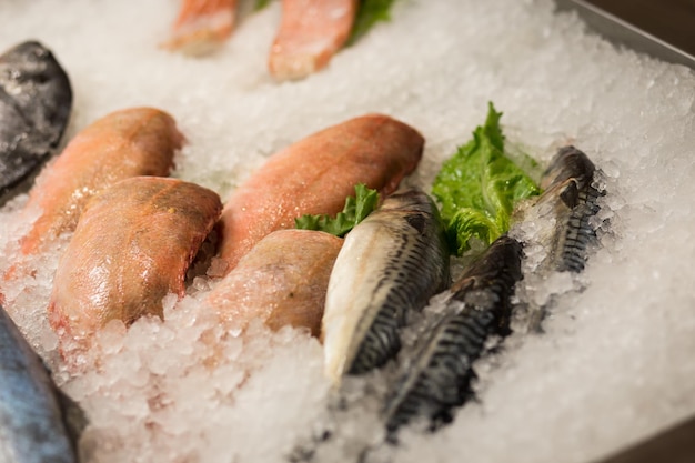 Pesce fresco crudo che si raffredda su letto di ghiaccio freddo nella bancarella del mercato dei frutti di mare