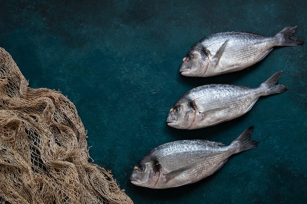 Pesce fresco di dorado con a rete sul tagliere di pietra sul tavolo scuro. Vista dall&#39;alto, copia spazio.