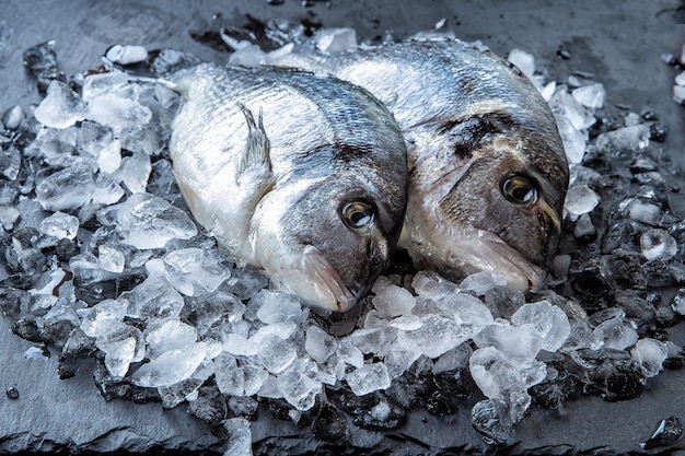 Pesce fresco di Dorado in pezzi di ghiaccio su uno sfondo scuro