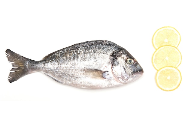 Pesce fresco di Dorado su fondo bianco con gli ingredienti per cucinare