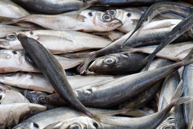 Pesce fresco di orata sul mercato