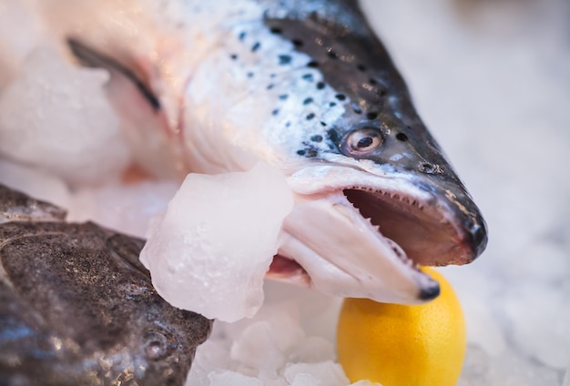 Pesce fresco e ostriche nel ristorante.