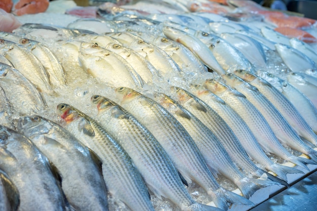 Pesce fresco misto nel mercato della Tailandia come pesce del mulet.