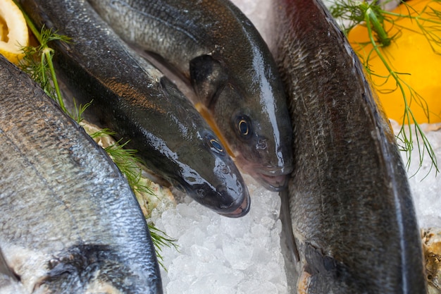 Pesce fresco nel mercato del pesce