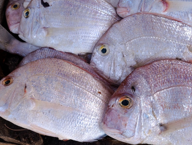 pesce fresco nel mercato