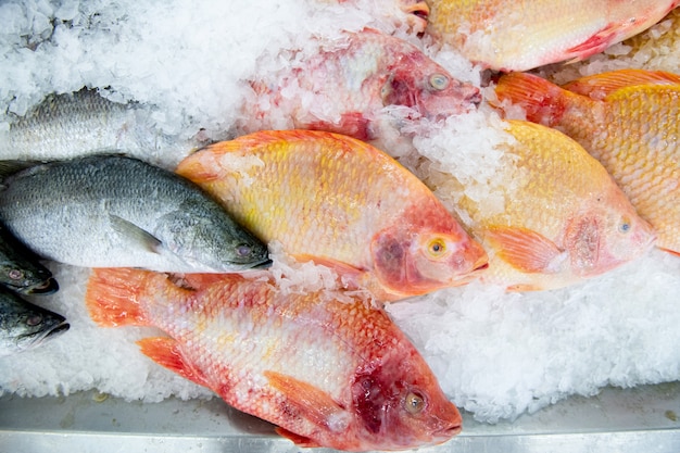 Pesce fresco nel mercato