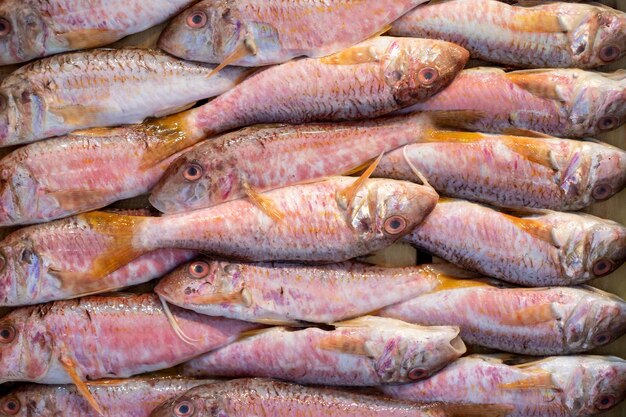 Pesce fresco pronto per la vendita al banco del pescatore