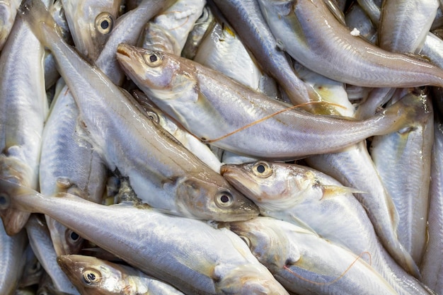 Pesce fresco pronto per la vendita al banco del pescatore