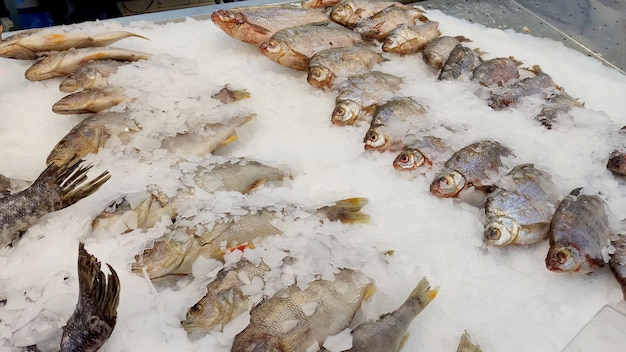 Pesce fresco refrigerato che giace nel ghiaccio sulla finestra del supermercato