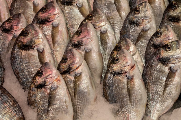 Pesce fresco sul ghiaccio nel marketxA