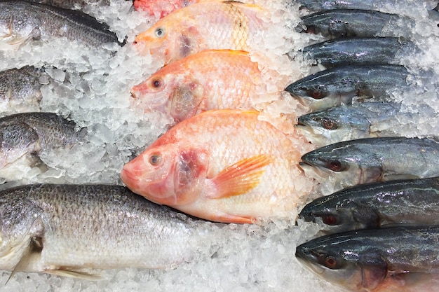 Pesce fresco sulla piattaforma di ghiaccio.