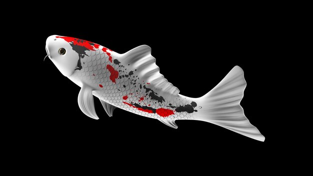 Pesce koi colorato rendering 3D con motivi di colore bianconero e rosso e vista laterale