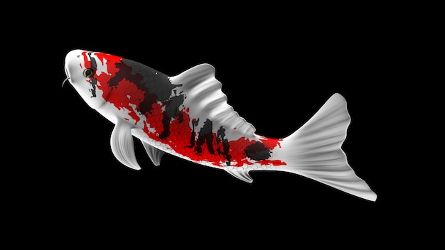 Pesce koi colorato rendering 3D con motivi di colore rossonero e bianco e vista laterale