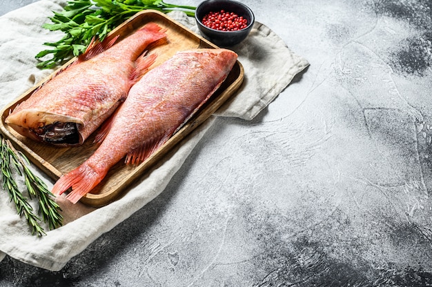 Pesce persico crudo rosso. Spazio per il testo