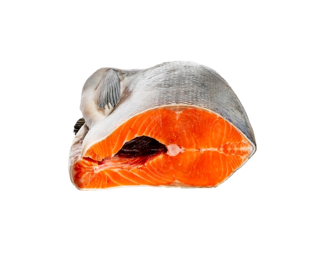 Pesce salmone d'argento