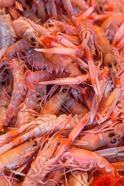 Pesce scampi