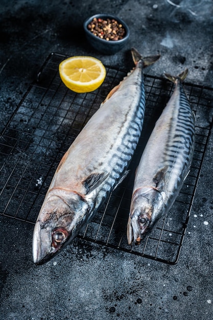 Pesce scomber sgombro crudo fresco pronto per grigliare Sfondo nero Vista dall'alto