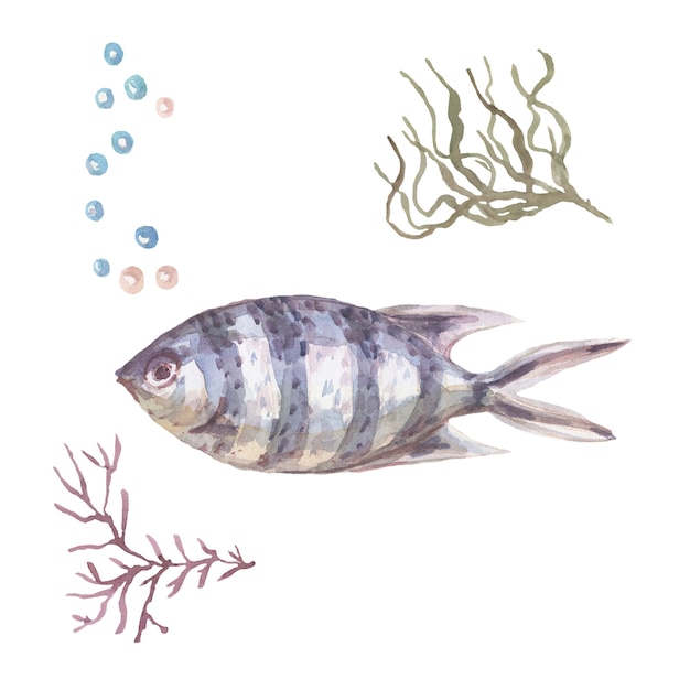 pesce subacqueo mare oceano coralli alghe conchiglie acquerello disegnato a mano illustrazione