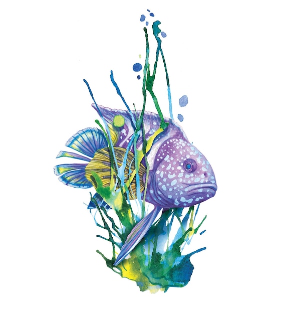 Pesce viola nell'illustrazione dell'acquerello dell'alga su carta