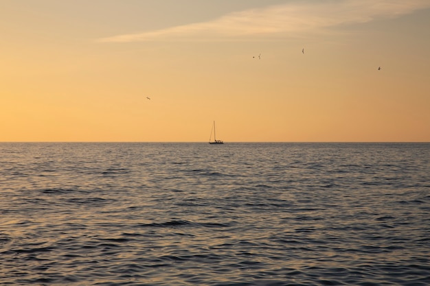 Peschereccio all'orizzonte, tramonto sul mare. Mare calmo, cielo corallo, pesca serale