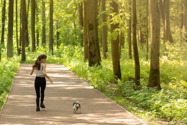 Pet Health Giochi con un cane nel parco all'aria aperta