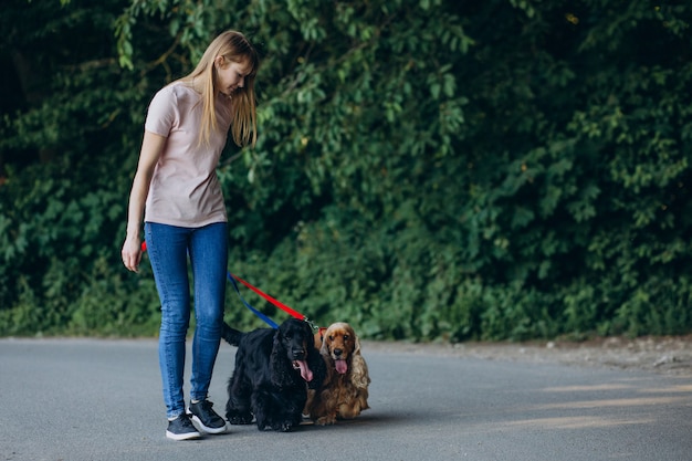 Pet walker che passeggia con i cani cocker spaniel