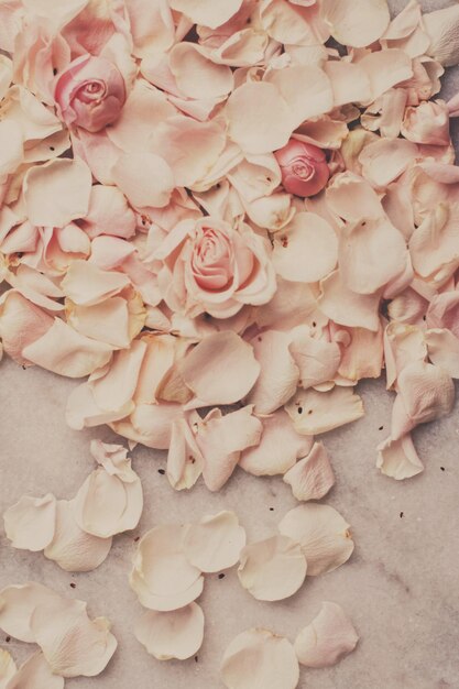 Petali di fiori di rosa in vacanza di matrimonio in marmo e concetto in stile giardino floreale