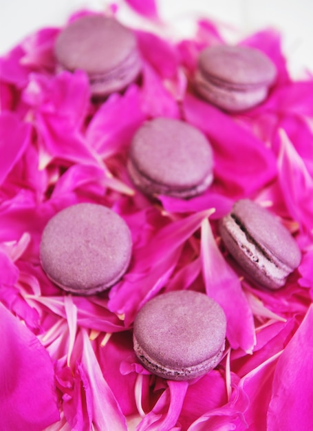 Petali di peonia rosa con macarons