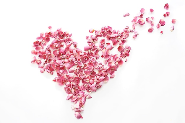 petali di rosa a cuore / rose rosa, petali a forma di cuore, concetto di amore