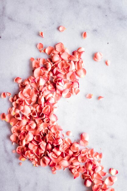 Petali di rosa corallo su sfondi di fiori di colore marmo dell'anno e concetto di vacanze