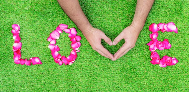 Petali di rosa in una fila di amore con il simbolo del cuore della mano Concetto di San Valentino