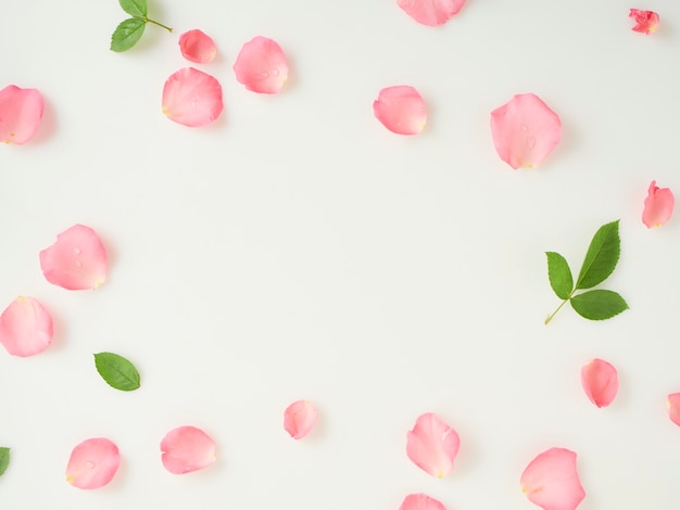 Petali di rosa rosa con foglie su sfondo bianco