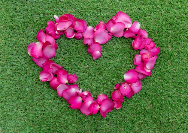 Petali di rosa rosa vista dall'alto disposti a forma di cuore Concetto di San Valentino