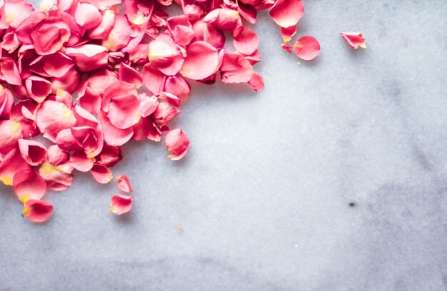 Petali di rosa su sfondo floreale di pietra di marmo