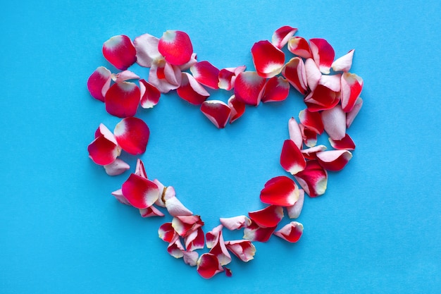 Petali di rose rosse a forma di cuore su uno sfondo blu