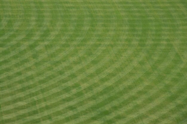 Petco Park Stadium Outfield