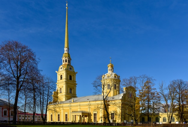 Peter and Paul Cathedral dietro l'isola delle lepri a San Pietroburgo