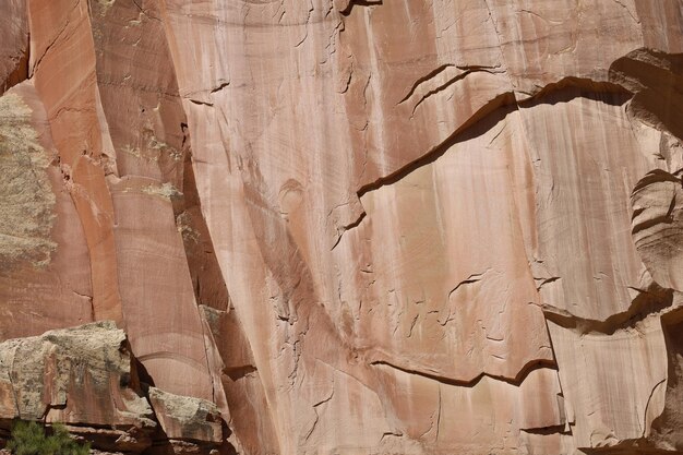 Petrogylphs al parco nazionale Utah di Capitol Reef