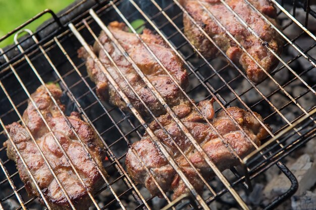 Pezzi di carne arrostiti al fuoco