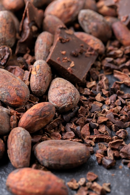 Pezzi di cioccolato fondente tritati e fave di cacao, vista dall'alto