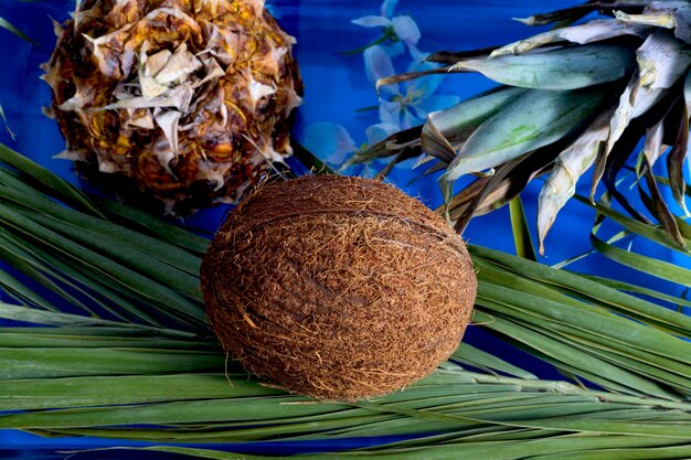 pezzi di cocco e ananas con rami e fiori su sfondo blu