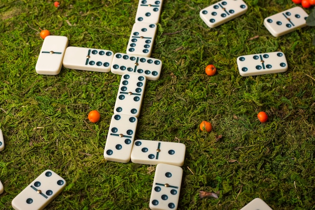 Pezzi di domino su uno sfondo di erba verde