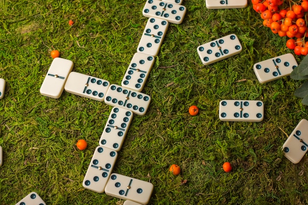 Pezzi di domino su uno sfondo di erba verde