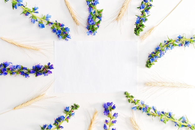 Pezzo di carta e cornice di fiori di campo e grano su sfondo bianco. Vista piana e dall'alto