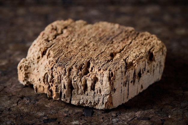 Pezzo di corteccia di albero di sughero primo piano