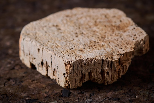 Pezzo di corteccia di albero di sughero primo piano