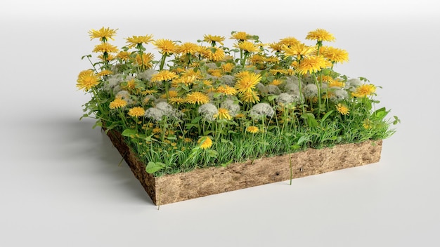 Pezzo di terra di erba verde con fiori isolati su sfondo bianco Illustrazione 3D