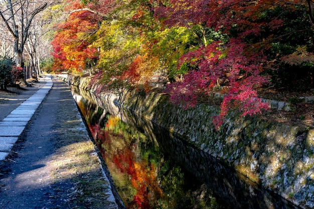 Philosophers Walk durante l'autunno a Kyoto