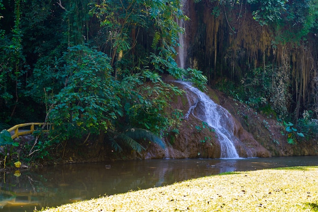 Phu Sang cascata con acqua solo in Thailandia.